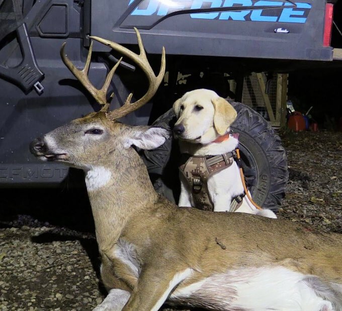Cookie's 8-point buck recovery